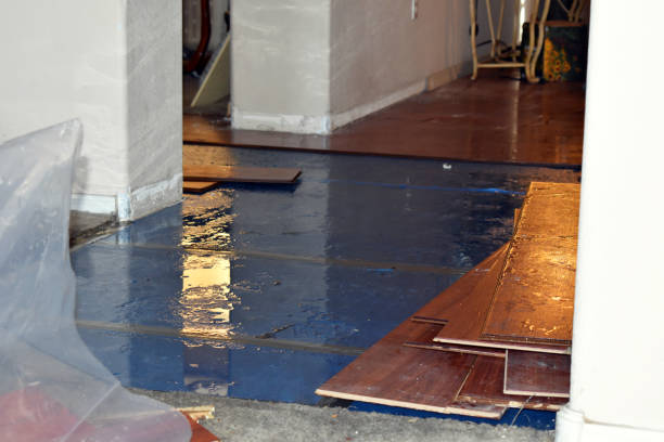 Professional Basement Flood Cleanup technician working in Medina, TX
